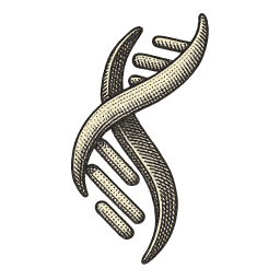 Nicholas A. Saccomano