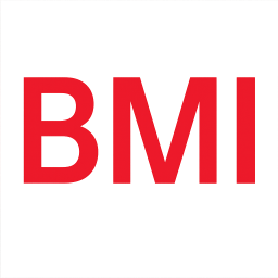 BMI CAPITAL CORP