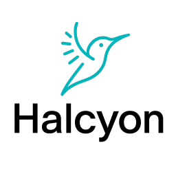 HALCYON OFFSHORE ASSET MANAGEMENT LLC