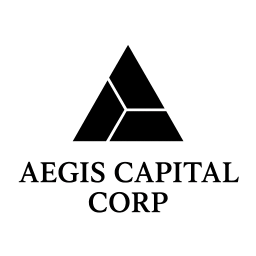 AEGIS FINANCIAL CORP