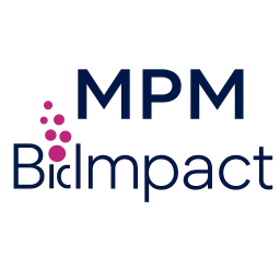 MPM ASSET MANAGEMENT LLC