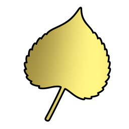 ASPEN INVESTMENT MANAGEMENT INC