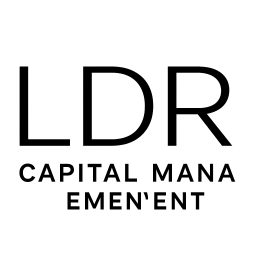 LDR CAPITAL MANAGEMENT LLC