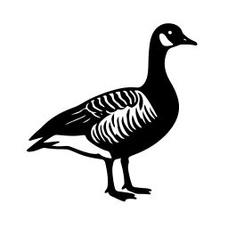 THREE BAYS CAPITAL LP