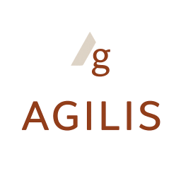 AGILIS PARTNERS LLC