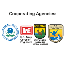 ELKFORK PARTNERS LLC