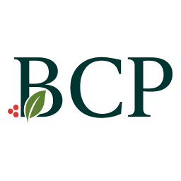 BAYBERRY CAPITAL PARTNERS LP