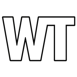 WT ASSET MANAGEMENT LTD