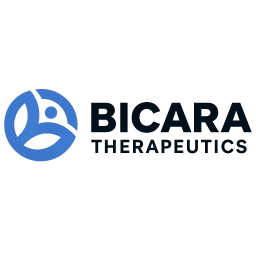 P-STS SPV GP IA, LLC