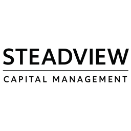 STEADVIEW CAPITAL MANAGEMENT LLC