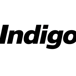INDIGO PARTNERS LLC