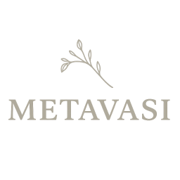 METAVASI CAPITAL LP