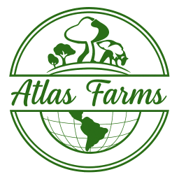 ATLAS FRM LLC