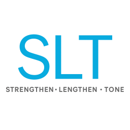 SLT HOLDINGS LLC
