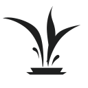 Amylyx Pharmaceuticals, Inc.