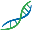 Atlantic International Corp.