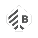 Bragg Gaming Group Inc.