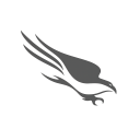 CrowdStrike Holdings, Inc.