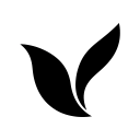 Falcon's Beyond Global, Inc. Class A Common Stock