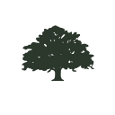 Live Oak Acquisition Corp. V Class A Ordinary Shares