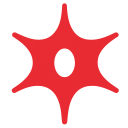 Murphy Oil Corporation