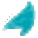 Seacoast Banking Corporation of Florida