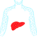 Sagimet Biosciences Inc.