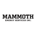 Mammoth Energy Services, Inc.