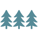 TWFG, Inc. Common Stock