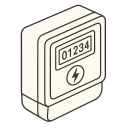 Regulated Electricity