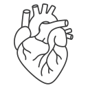 Cardiovascular Renal And Metabolism Products