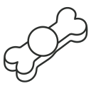 Direct To Consumer Segment