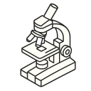 Discovery and Safety Assessment