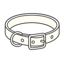 Pet Collars