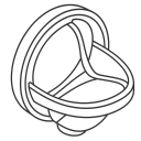 Surgical Heart Valve Therapy