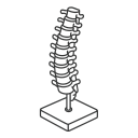 Spine