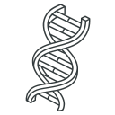 Werner Helicase Program Research And Development Service