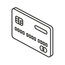 SaaS Services Segment Revenue