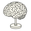 Central Nervous System