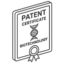 License and Other Revenue