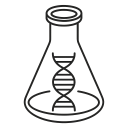 Development Services