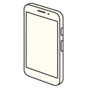 Professional Service