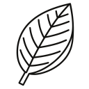 Food Ingredient Sales