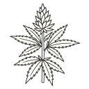 Cannabis Canada Segment